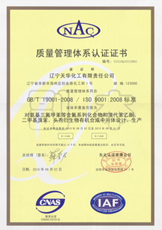 Enterprise certification